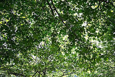 CDPR没有计划推出《赛博朋克2077》PS5 Pro补丁