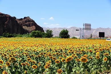 《尼尔 自动人形》隐藏门后续 为玩家自制MOD工具打造