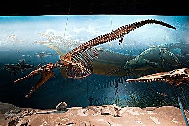 中国移动将发布“九天”1+N大模型 科学家冯俊兰带队